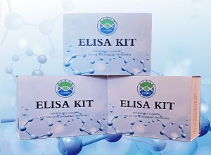 人1,25-二羟基维生素D（1,25(OH)2VD）ELISA检测试剂盒